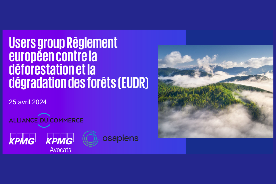 replay lutte contre la déforestation